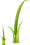 Twig icon